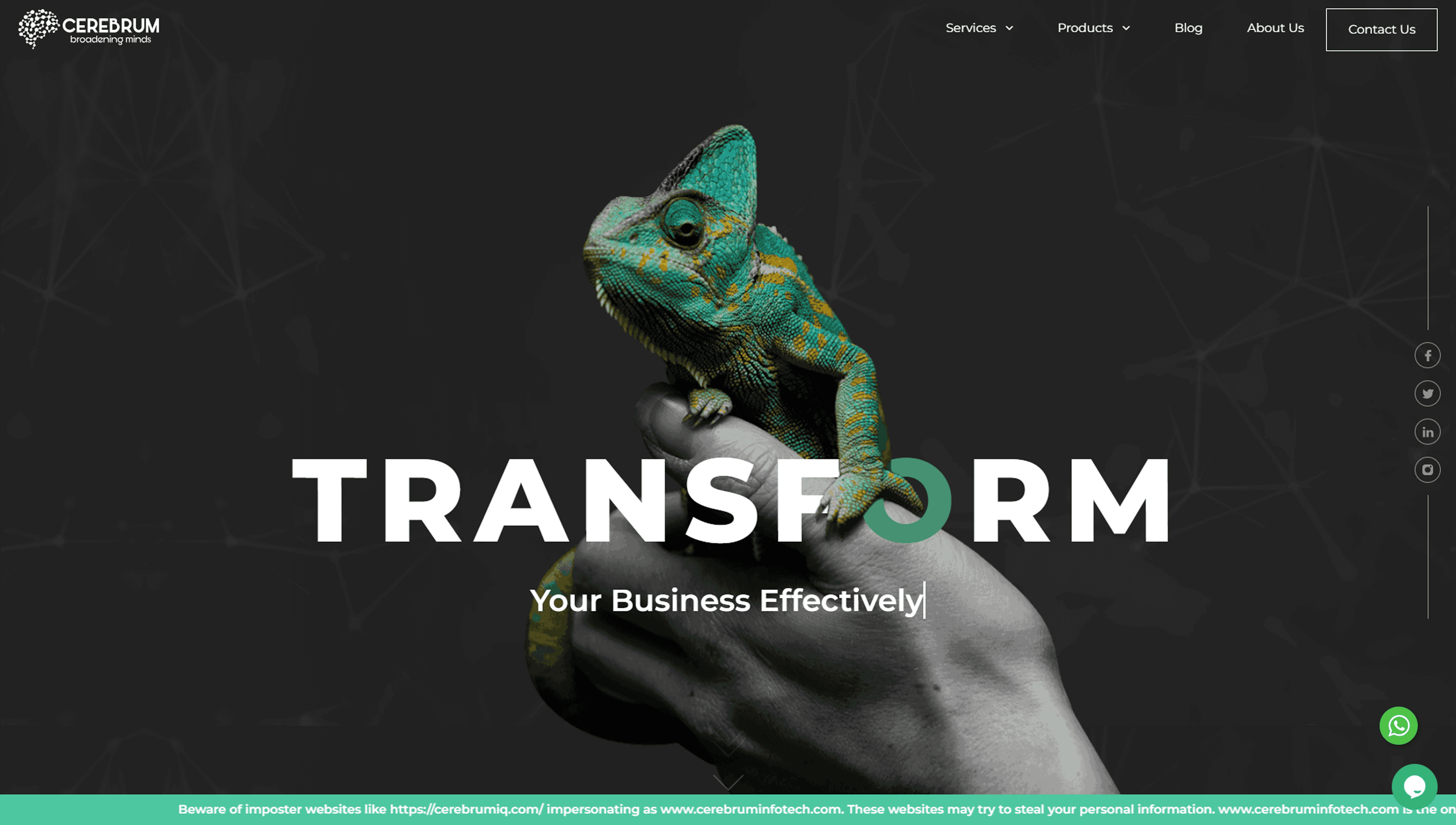 cerebrum case study
