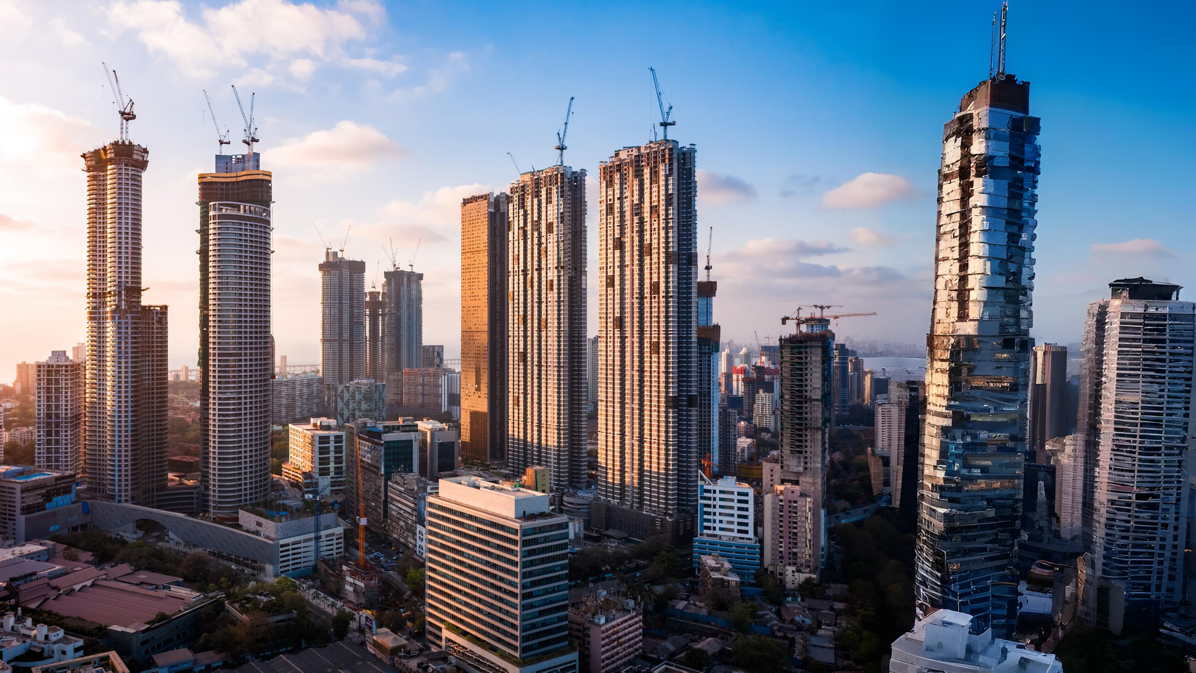 Real estate professional consultation